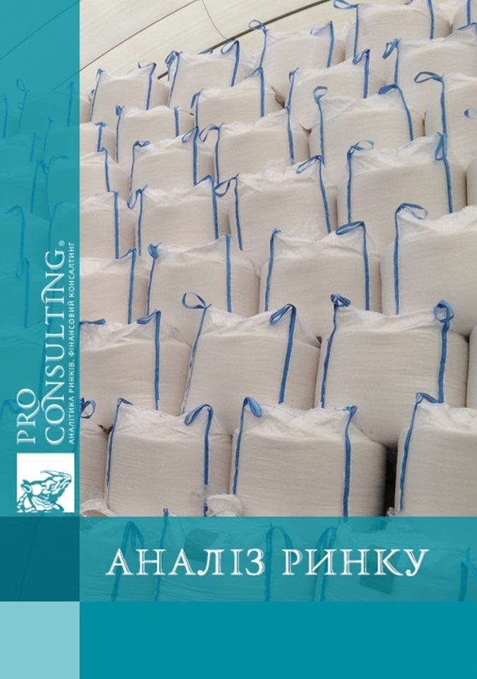 Аналіз ринку біг-бегів Росії. 2014 рік